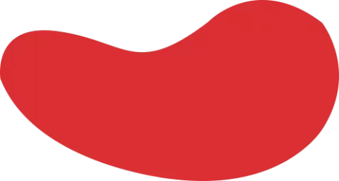 九游会（J9）官方网站-体育赛事平台