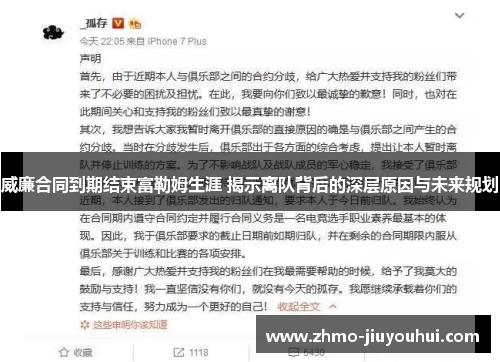 威廉合同到期结束富勒姆生涯 揭示离队背后的深层原因与未来规划
